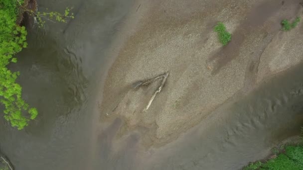 Floodplain rzeka piaszczysta piasek aluwium meandry delta dron powietrza wideo strzał w głąb lądu niziny leśne bagna bagna quadcopter widok latający lot pokaz, chroniony krajobraz obszar Litovelske Pomoravi — Wideo stockowe