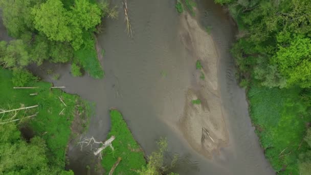 泛滥成灾的平原河流蜿蜒流淌三角洲风车航拍内陆沙质冲积平原森林低洼地湿地沼泽四足动物展示会，受保护的风景区里托夫斯克波莫拉维 — 图库视频影像