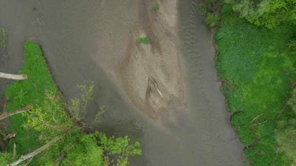 Povodňové říční meandry delta dron letecké video záběr vnitrozemské písčité písek aluvium les nížiny mokřady bažiny quadcopter pohled létání létání létání letová show, chráněná krajinná oblast Litovelské Pomoravi — Stock video