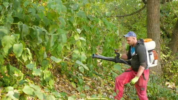 OLOMOUC, REPÚBLICA CHECA, 20 de agosto de 2021: Knotweed Reynoutria spray herbicida spray químico rodeo destruye hojas planta de clorofila verde planta Stihl trabajador rociador de mochila líquida — Vídeo de stock