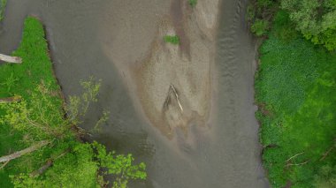 Sel ovası nehir çevresi delta dron hava filosu görüntüsü kumlu kumlu alüvyum ormanı ovaları sulak araziler bataklık kuadkopter görüntüsü uçuş gösterisi Litovelske Pomoravi koruma alanı