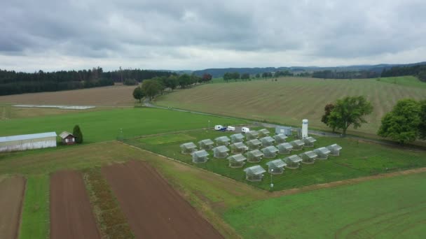 Science greenhouse research open top chambers climate change, corn maize Zea mays ear, scientific on genetics and genes, modern greenhouses observation, scientist harvests, technology technical — Video Stock