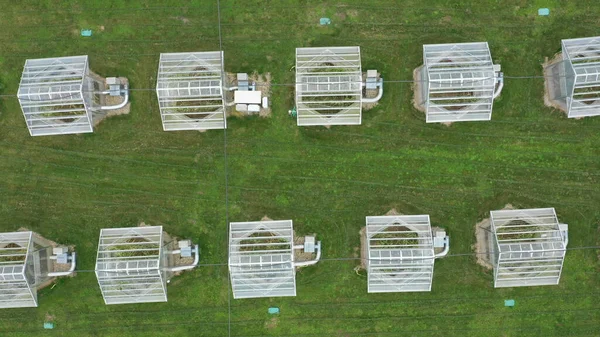 Greenhouse science research open top chambers climate change, corn maize Zea mays ear, scientific on genetics and genes, modern greenhouses observation, scientist harvests, technology technical — Stock Photo, Image