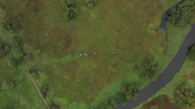 Korunan arazi alanı Trebonsko UNESCO biyosfer bilim istasyonu araştırmaları için saklıdır. Bataklık çayırları Trebon, insansız hava aracı hava aracı görüntüsü ekosistem meteoroloji istasyonu söğütleri.