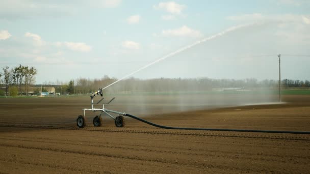 Irrigation sprinkler automatic watering water cultivated fields, robot pipe sprinkler spray industrial farm farming, drought soil, agricultural wheat farmland technology system dew, climate change — Vídeo de Stock