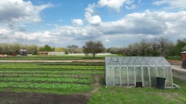 Çiftlik biyo tarımı çiftçi meyve ağacı drone anten yaprağı marul yeşil kohlrabi Lactuca sativa biyoloji çiftçisi sera yaprağı ve tarım çiftliği meyve hasadı.