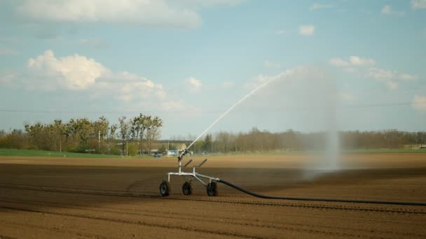 Sprinkler fields irrigation robot automatic watering water pipe cultivated, spray industrial farm farming, drought soil, agricultural wheat farmland technology system dew, climate change — Vídeo de Stock