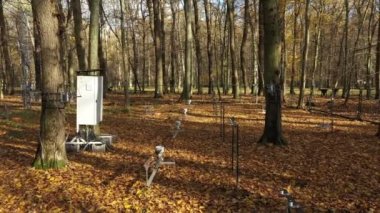 Solunum ağacı gövdesinin bilimsel ölçümleri. Sel baskını toprağındaki karbondioksit, CO2 küresel değişim, iklim değişikliği, sıcaklık araştırması, modern yöntemler, teknoloji kulesi gaz.