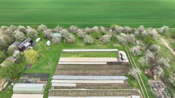 Tuin bio boerderij landbouw landbouw tuin boer fruit boom drone antenne blad koolrabi spinazie Spinacia Brassica oleracea gongylodes bio kas folio landbouw boerderij tuin oogst blad — Stockvideo