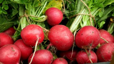 Turp gıda hasadı çiftlik sebzeleri pazarda taze biyoloji Raphanus raphanistrum filizi tarım çiftçiliği tarım bahçesinde yetişiyor organik olarak yetiştirilen organik kökten organik sebzeler