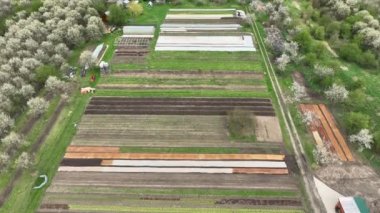 Biyoloji çiftliği sebze çiftliği tarım çiftliği meyve çiftliği drone anten yaprağı kohlrabi ıspanak ıspanak Spinacia Brassica oleracea gongylodes biyolojik sera yaprağı tarımsal tarım bahçesi yaprağı hasat yaprakları