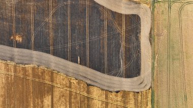 Fields Fire Alevli Arpa Hordeum Vulgare sonra yangın drone 'lar vahşi hava kuraklığı kara toprak kuru kara toprak felaket hasarı bitkisel tahıllar yanmış doğal afetler