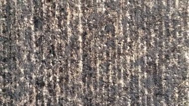 Fields Fire Alevli Arpa Hordeum Vulgare sonra yangın drone 'lar vahşi hava kuraklığı kara toprak kuru kara toprak felaket hasarı bitkisel tahıllar yanmış doğal afetler