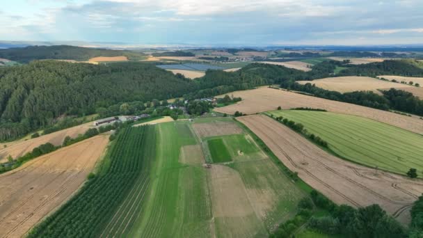 Lavender Farm Bio Field Drone Aerial Farming Landscape Area Magic — 비디오