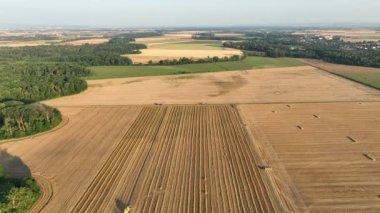 Harvester combine drone aerial view during harvesting harvest tractor of cereals wheat cut crop Triticum aestivum field has-field, earth ground, forest floodplain forest and river, quadcopter view