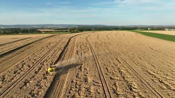 Harvester Combine Drone Aerial View Harvesting Harvest Tractor Cereals Wheat — Wideo stockowe