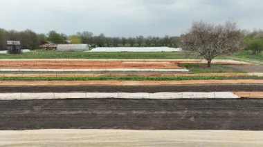 Bio farm farming agricultural farm garden farmer fruit tree drone aerial shot leaf lettuce green Lactuca sativa spinach bio farmer farming greenhouse foil and agricultural farm garden fruit tree leaf