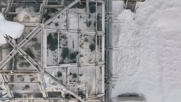 Greenhouse Neve Inverno Geada Aberto Topo Câmaras Mudanças Climáticas Ciência — Vídeo de Stock