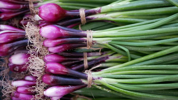 タマネギ紫色の収穫新鮮な熟した収穫市場店春の兄弟ネギ赤い茎茎アリウムケパ厚い球根一般的な有機植物若い野菜の芽は地上のバイオ農家の農業を育てます — ストック写真