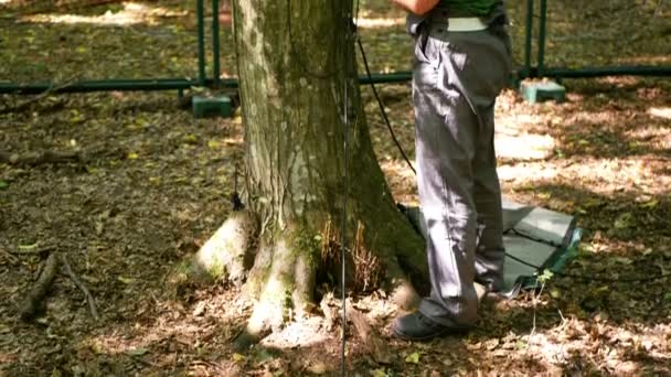 Scientific Measurement Tree Sap Flow Transpiration Water Science Station Scientist — Stock Video