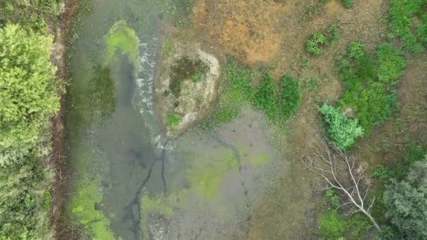 非常干旱的湿地 潮湿的无人空中池塘使土壤干枯 地壳破裂 地球气候变化 环境灾害和地球裂缝严重 动植物死亡 土壤干枯 — 图库视频影像