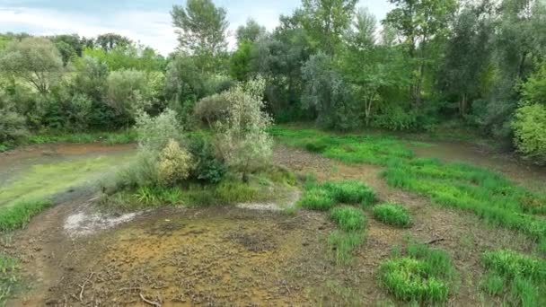Very Drought Wetland Swamp Drone Aerial Pond Drying Soil Cracked — Stock Video