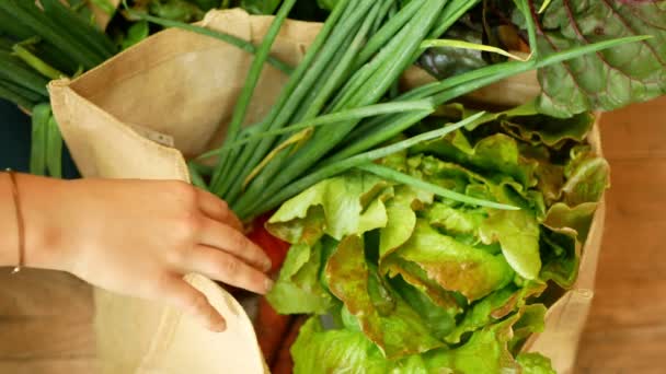 Chard Bolsa Verde Roja Mercado Verduras Bio Hojas Blanco Suizo — Vídeo de stock