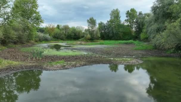 Засушливые Водно Болотные Угодья Болотный Беспилотный Воздушный Пруд Высыхания Почвы — стоковое видео