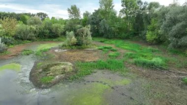 Çok kurak sulak arazi, bataklık drone havuzu toprağı kurutuyor çatlamış toprak kabuğu iklim değişikliği, çevre felaketi ve toprak çatlıyor bitkiler ve hayvanlar için ölüm, toprak kuru çürümesi
