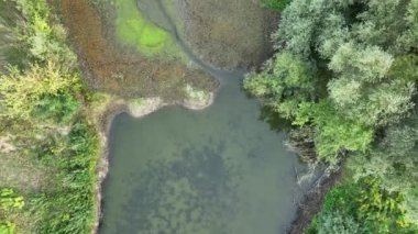 Çok kurak sulak arazi, bataklık drone havuzu toprağı kurutuyor çatlamış toprak kabuğu iklim değişikliği, çevre felaketi ve toprak çatlıyor bitkiler ve hayvanlar için ölüm, toprak kuru çürümesi