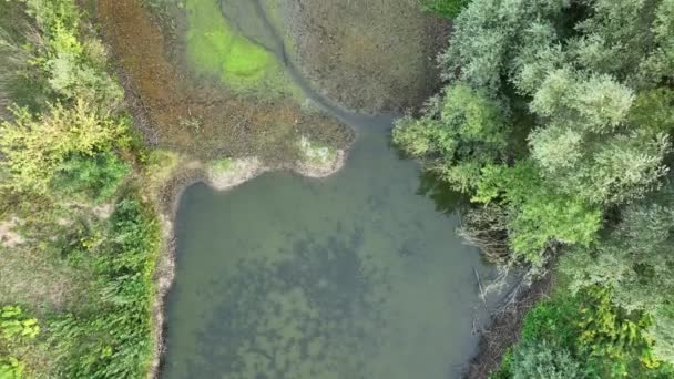 Mycket Torka Våtmark Träsk Drönare Antenn Damm Torka Upp Jorden — Stockvideo