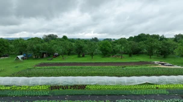 Bio Farm Farming Agricultural Farm Garden Farmer Cloudy Clouds Rain — Stockvideo