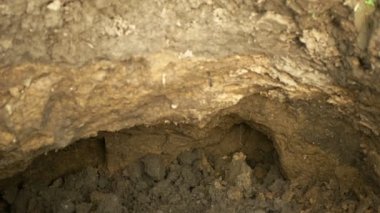 Arazi erozyon hasarı toprak çukuru uygunsuz bir şekilde yönetilen toprak toprağı toprağın üst toprağı ve tarıma elverişli topraklar. Vadose bölgesi sıkıştırılmış toprak üstü sert toprak. Fakir çiftçilik