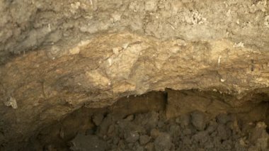 Arazi erozyon hasarı toprak çukuru uygunsuz bir şekilde yönetilen toprak toprağı toprağın üst toprağı ve tarıma elverişli topraklar. Vadose bölgesi sıkıştırılmış toprak üstü sert toprak. Fakir çiftçilik