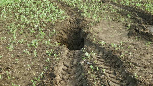 Die Erosion Der Felder Schädigt Die Bodenlochgrube Die Unsachgemäß Bewirtschaftet — Stockfoto