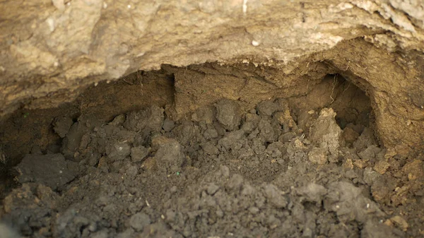 침식으로 표토와 경작지의 황폐화로 토양을 적절하지 관리하는 구덩이를 손상시킨다 패스트존은 — 스톡 사진