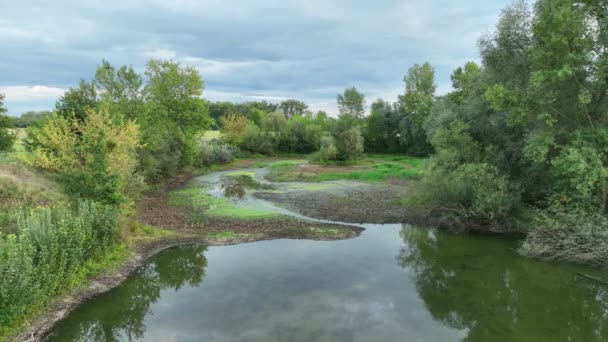 Zone Humide Très Aride Étang Aérien Drones Marécageux Asséchant Sol — Video