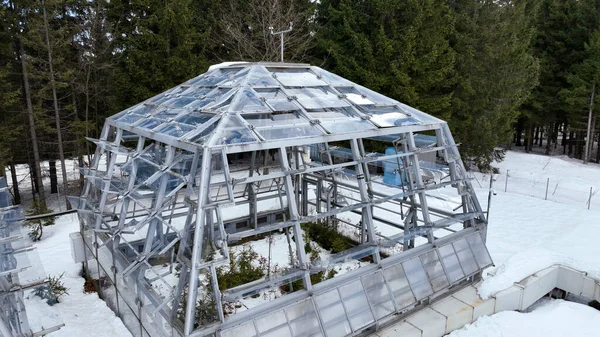 Greenhouse station snow winter frost open top chambers climate change science research Bily Kriz, plant spruce Picea abies Norway European and mountain beech Fagus sylvatica common for scientific on