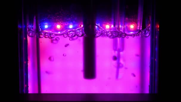 Reactor Ciencia Algas Investigación Moderna Laboratorio Biorreactor Multi Cultivador Sistema — Vídeo de stock