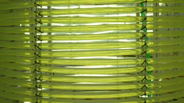 Algas Ciencia Reactor Tubular Tubo Investigación Manguera Moderno Laboratorio Biorreactor — Vídeo de stock