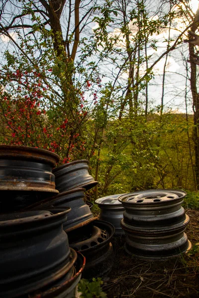 Montón Viejas Llantas Robadas Tiradas Naturaleza — Foto de Stock