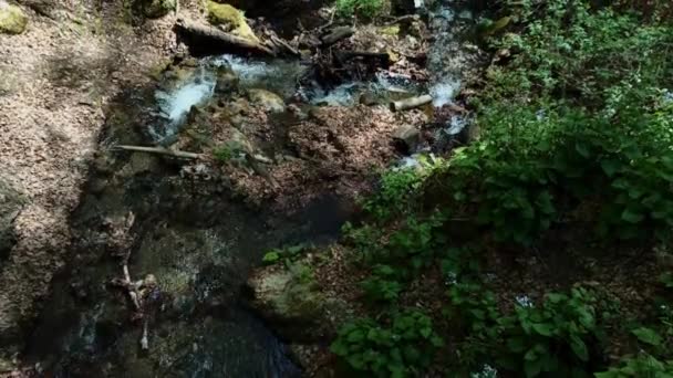 Flödet Bergsflod Och Uppvaknandet Naturen Omkring Den Våren — Stockvideo