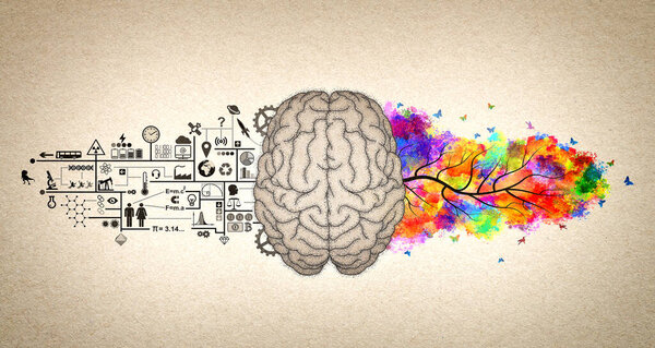Brain Functions - Left Brain and Right Brain Conceptual Illustration - Analytic and Creative Brain 