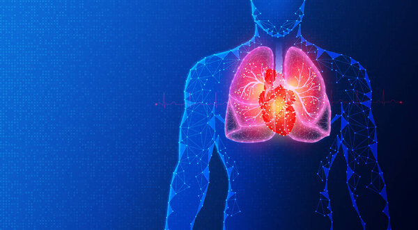 Инженерия сердечно-сосудистых и сердечно-сосудистых тканей - Инженерия сердечных тканей - Развитие биомиметической сердечно-сосудистой и легочной ткани - Концептуальная иллюстрация