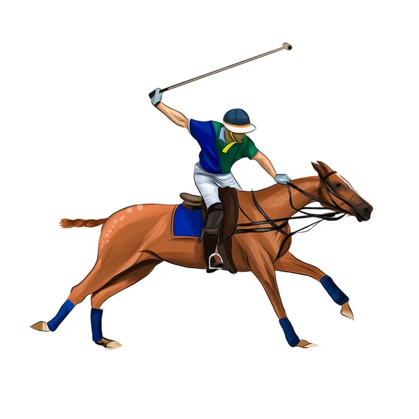 Paardensport polo met een jockey uit plons van aquarellen, gekleurde tekening, realistisch, Paardrijden — Stockvector