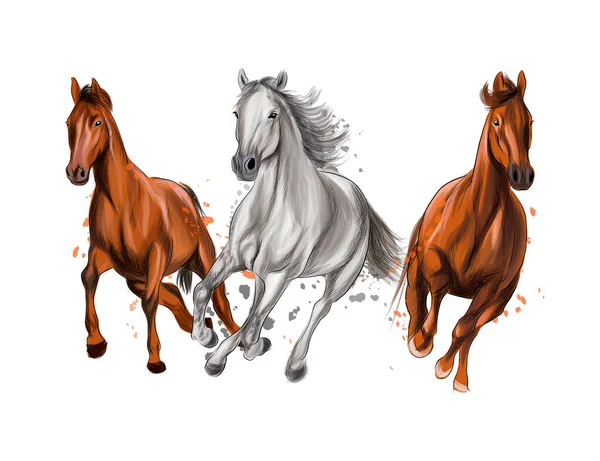 세 마리의 말 이 물보라같은 색깔, 유색 그림에서 쏜살 같이 달리는 현실적 인 모습 — 스톡 벡터