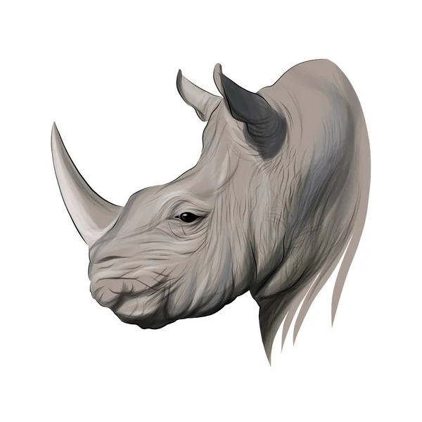 Rhino head portrait, rhinoceros, color drawing, realistic — Stockvektor