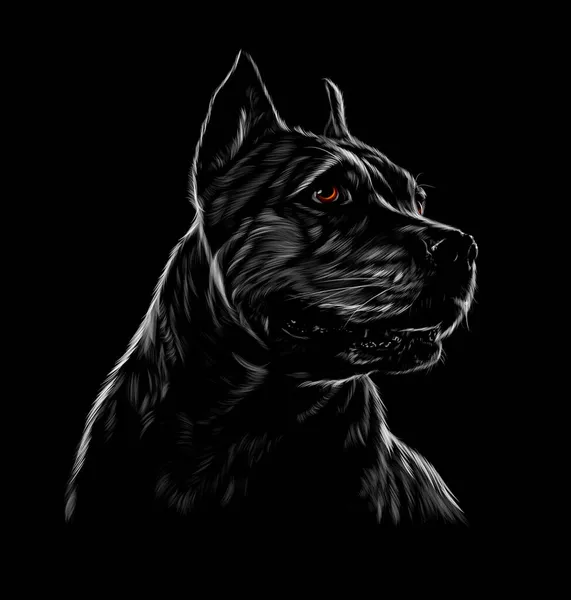 American Pit Bull Head Portrait, staffordshire terrier on black background - Stok Vektor