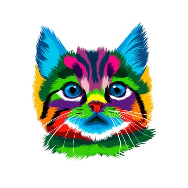 Kedi yüzü portresi, çok renkli resimlerin kedi yüzü. Suluboya, renkli çizim, gerçekçi.