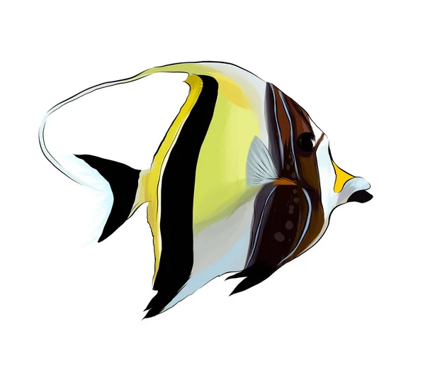 Tropical Fish, Horned Zankle, Exotic Fish, Zankl Moorish Idol de pinturas multicolores. Salpicadura de acuarela, dibujo en color, realista — Vector de stock